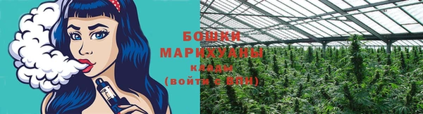 трава Алзамай