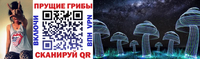 где купить   Ижевск  Псилоцибиновые грибы мухоморы 