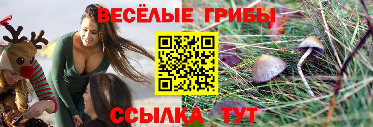 Псилоцибиновые грибы Cubensis  Вход с VPN  Ижевск 